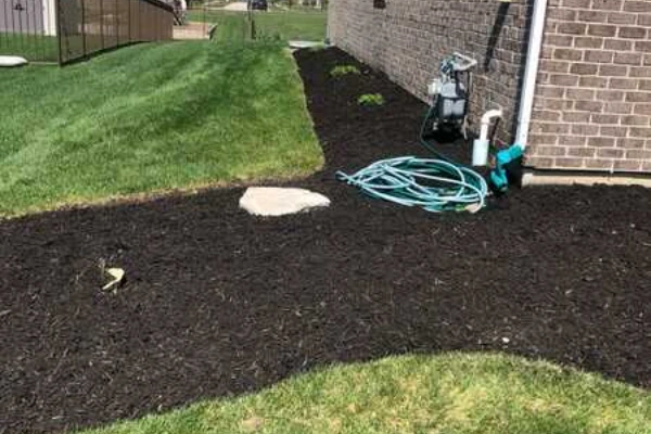 Landscape Maintenance