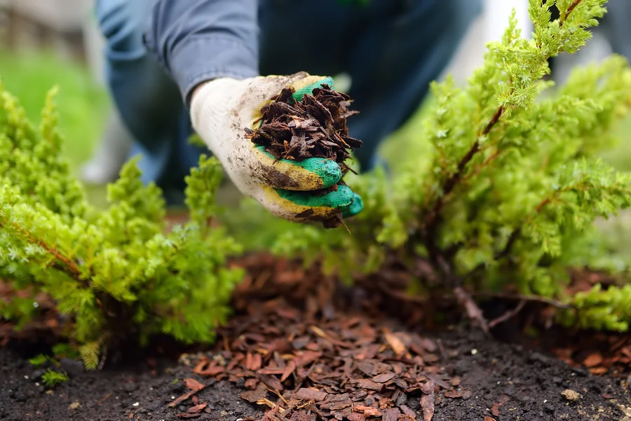 Choosing The Right Mulch For Healthy Plant Growth in Joliet, IL
