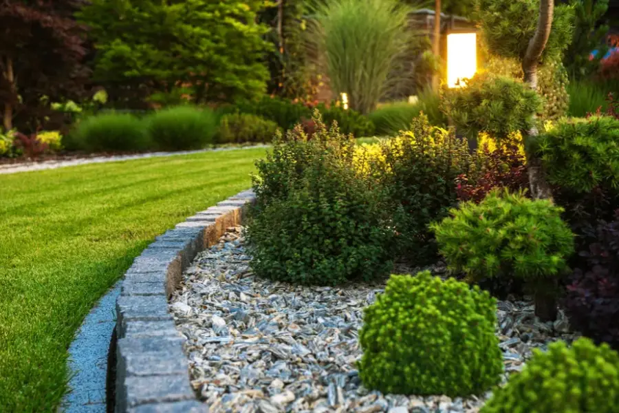 Common Landscaping Issues And How To Prevent Them Joliet, IL