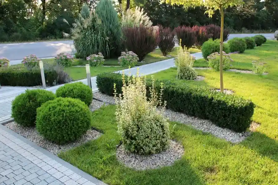 Common Landscaping Issues And How To Prevent Them in Joliet, IL