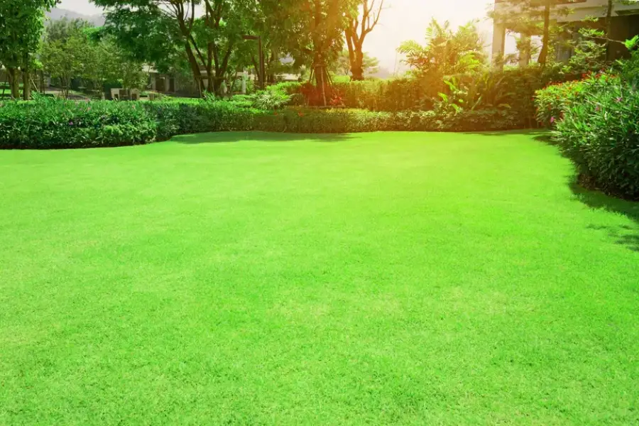 How Routine Maintenance Keeps Your Landscape Thriving Joliet, IL